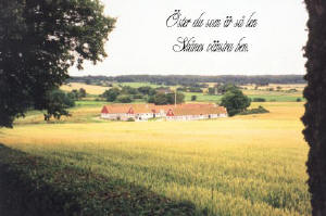digitalfoto av sterlen