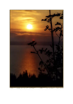 fotokonst av Ommas berget